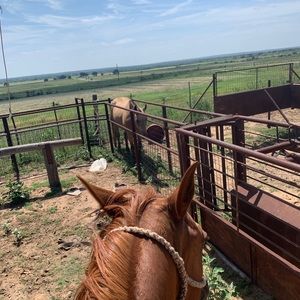 Meet your Posher, Jesse